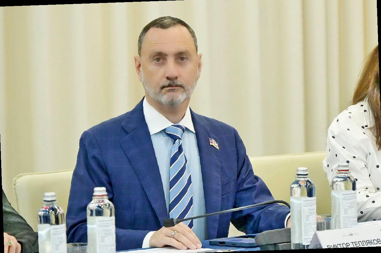 Участие Виктора Теплякова в Форуме «Петербургский диалог»