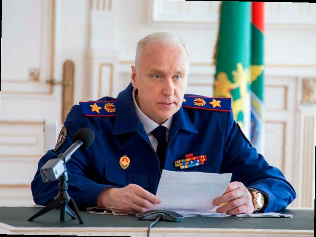 Бастрыкин просит проверить информацию о нападении собаки на ребёнка в ЖК «Моравия» в Сочи