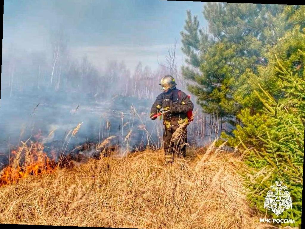 В лесах Краснодарского края введены ограничения