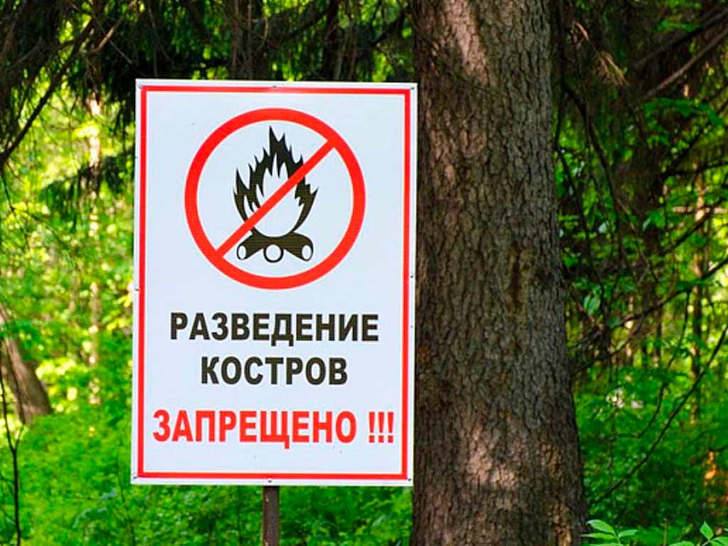 В Сочи объявлена пожароопасность 4 класса