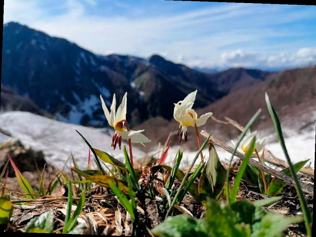 В Дендрарии Сочи открывается выставка фотографий «Четыре сезона красоты»