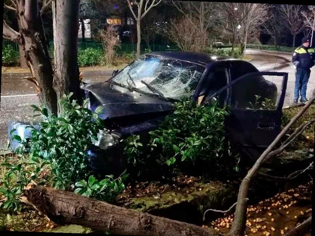 Подросток в Сочи попал в аварию после столкновения с деревом