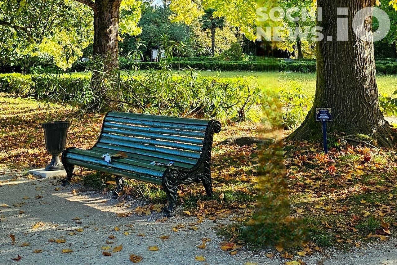 Продление бархатного сезона: прогноз погоды и цены на отдых в Краснодарском крае