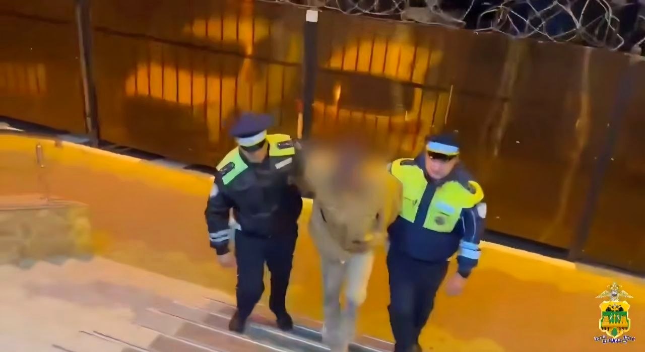 Задержание угонщика иномарки в Адлере прошло со стрельбой и погоней